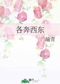 泡弹学院